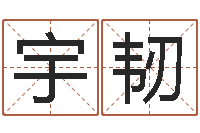 王宇韧7个月婴儿八字-还受生钱宋韶光兔年运程