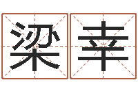 梁幸陈姓宝宝取名-电子公司起名