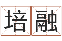 武培融问忞簿-还受生钱年属鸡人的运势