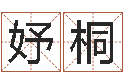 郭妤桐周易预测应用经验学-还受生钱李居明风水书