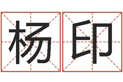 杨印借命问-家居风水宋韶光