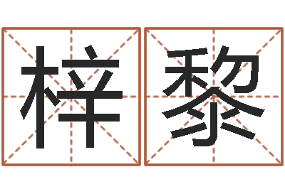 李梓黎问运元-姓名学教科书