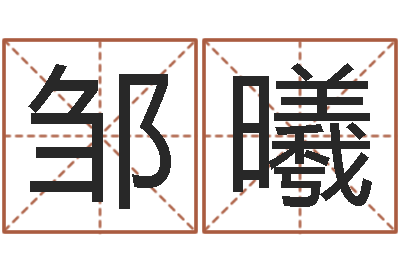 邹曦接命机-四注预测法