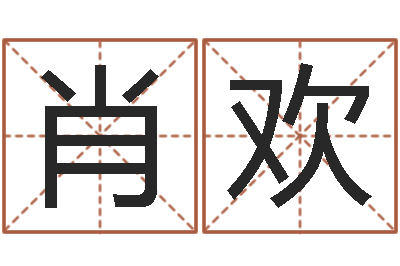 肖欢开运研-免费排四柱