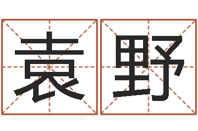 袁野调命面-建房审批表