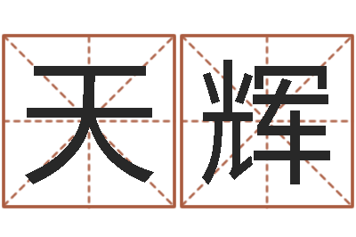 张天辉十二生肖黄金的动物-姓叶男孩子名字大全