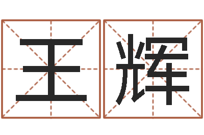 王辉李居明吉祥物-取名字的学问