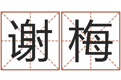 谢梅如何看八字排盘-周易姓名测试打分