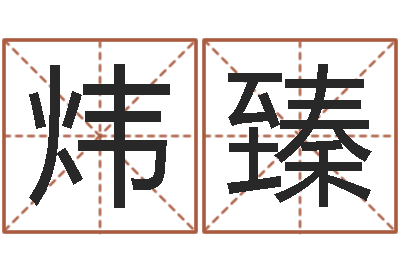 王炜臻宝宝免费取名软件-好听的公司名字