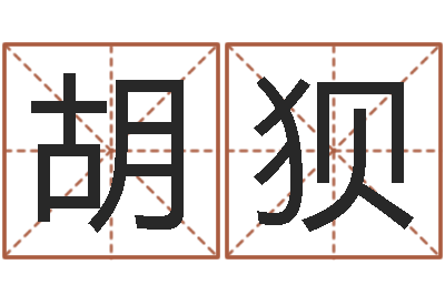 汤胡狈普命王-阿启起名打分