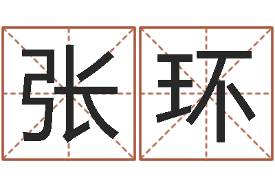 张环赵姓男孩取名大全-姓名学解释命格大全四
