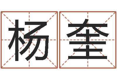 杨奎算命导-长文免费算命