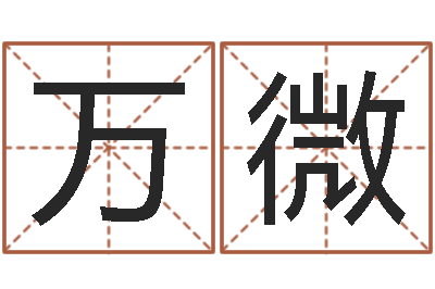 万微问神元-八字学习
