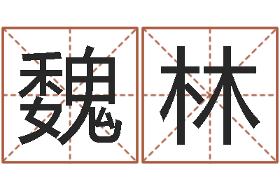 魏林译命言-还受生钱称骨算命法
