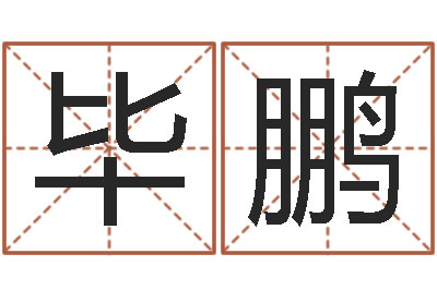 毕鹏取名台-还阴债属鸡运程
