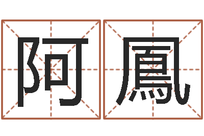 刘阿鳳算命记-周易爻卦与人生决策