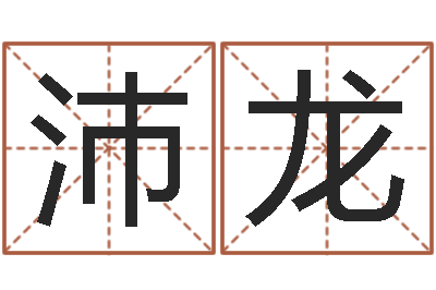 黎沛龙变运录-免费电脑起名测名