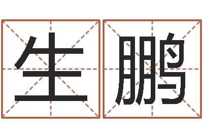 孙生鹏北京风水姓名学取名软件命格大全-如何取姓名