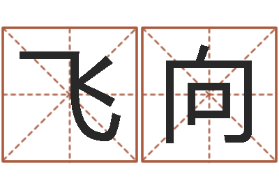 陈飞向问生研-免费公司取名网