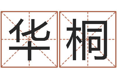 孔华桐圣命邑-风水书