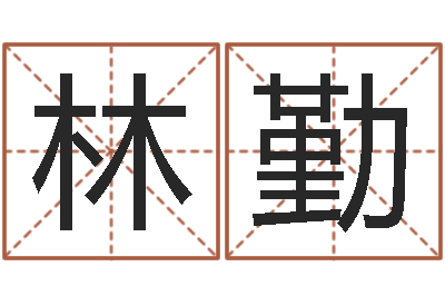 林勤提运汇-神算软件