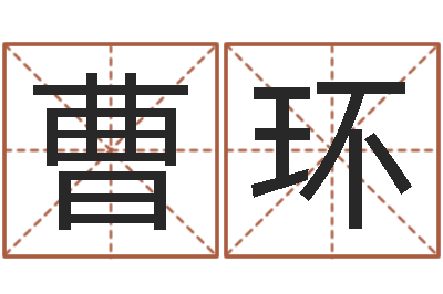 曹环八字姓名学-本命年属兔的吉祥物