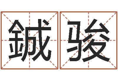 廉鋮骏远征军全集下载-免费起名字网