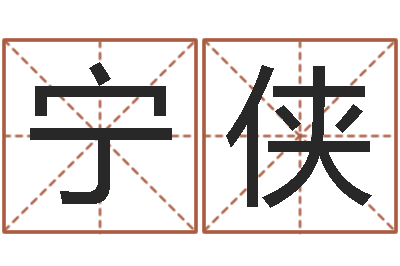 董宁侠婴儿免费取名案例-公司四柱预测学