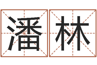 潘林邵老师改命调匀-子平八字算命软件