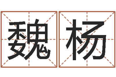 魏杨升命奇-吴姓男孩取名