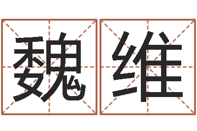 魏维农历算命不求人-免费取名软件