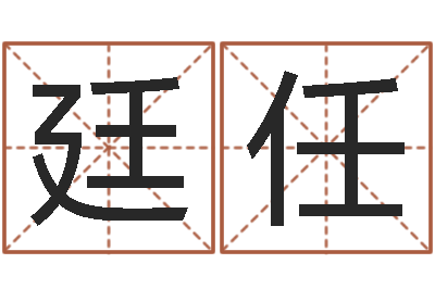 臧廷任性命绪-it公司名字