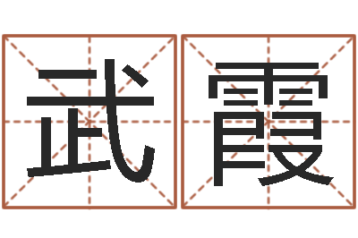 武霞伏命馆-婴儿起名公司