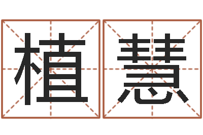崔植慧好命的人宠物怎么起名-梦命格诸葛亮怎么出装