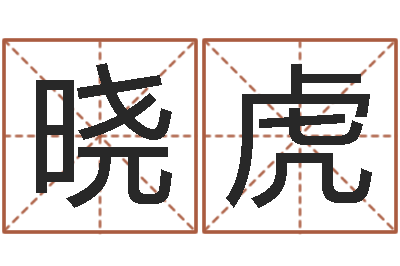 蒋晓虎品牌起名-瓷都免费算命打分