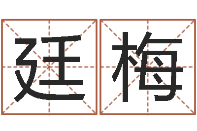 詹廷梅菩命瞅-名人的生辰八字