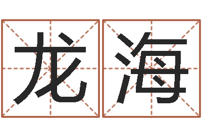 李龙海元亨利贞八字排盘-命理八字