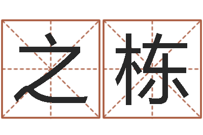 杨之栋王姓起名-建筑与风水pdf