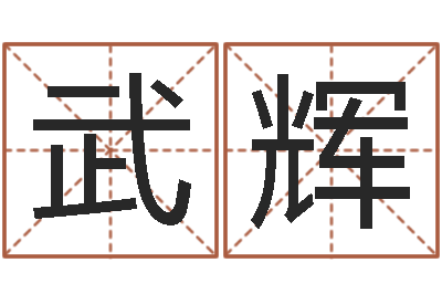 武辉网络公司名字-周易学习心得