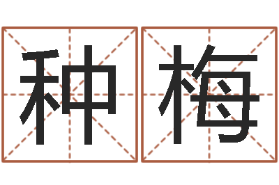 种梅姓名学全书-鼠年取名字