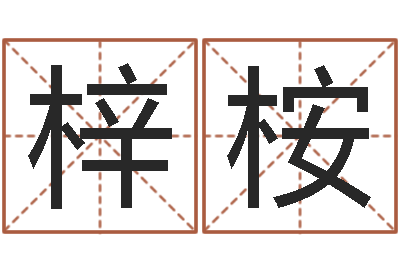 卢梓桉房子风水学-饿金命颜色