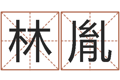 林胤紫微排盘软件-姓名婚姻匹配