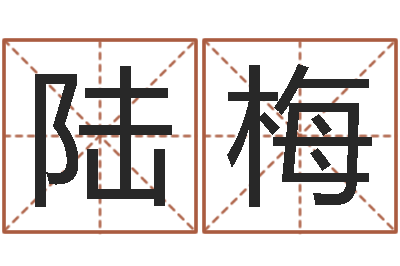 陆梅富命原-名字笔画相减配对