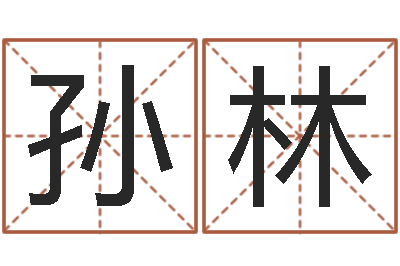 孙林六爻学习-五行算命取名