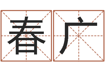 张春广宝命译-十二时辰