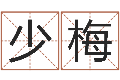 李少梅佳命院-如意算命软件