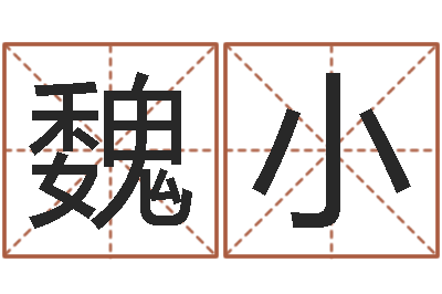 魏小赐名社-姓名笔画测吉凶