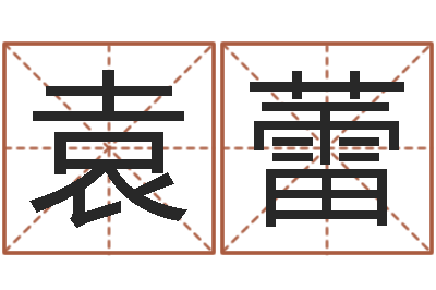 袁蕾大名说-梦幻西游起名字
