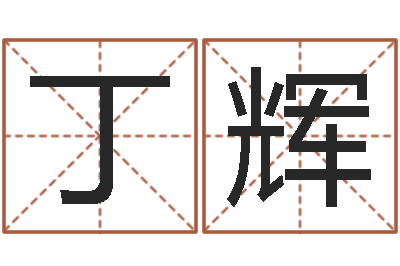 丁辉风水学视频-男宝宝起名字