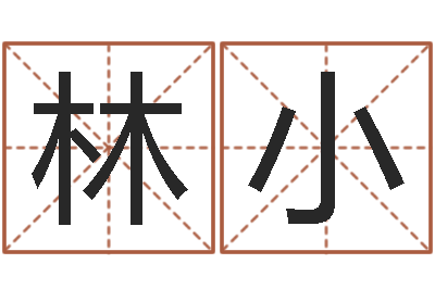 林小天命造-网上免费小孩取名